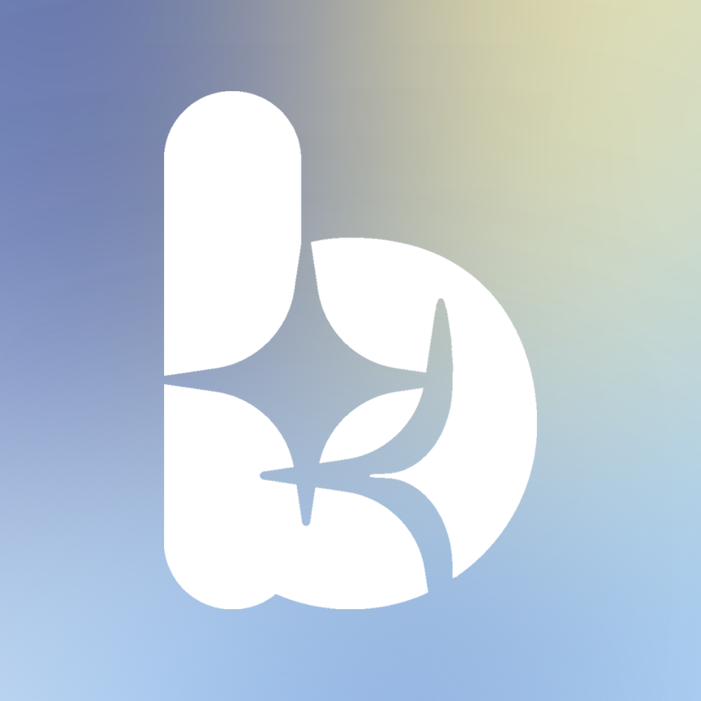 bLink Logo